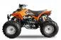 Preview: 125cc Grizzly Quad Offroad Automatik + RG Kinderquad Preview: 125cc Grizzly Quad Offroad Automatik + RG Kinderquad