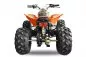Preview: 125cc Grizzly Quad Offroad Automatik + RG Kinderquad Preview: 125cc Grizzly Quad Offroad Automatik + RG Kinderquad
