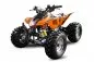Preview: 125cc Grizzly Quad Offroad Automatik + RG Kinderquad Preview: 125cc Grizzly Quad Offroad Automatik + RG Kinderquad