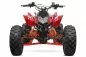 Preview: 125cc Grizzly Quad Offroad Automatik + RG Kinderquad Preview: 125cc Grizzly Quad Offroad Automatik + RG Kinderquad