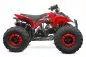 Preview: 125cc Grizzly Quad Offroad Automatik + RG Kinderquad Preview: 125cc Grizzly Quad Offroad Automatik + RG Kinderquad