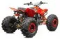 Preview: 125cc Grizzly Quad Offroad Automatik + RG Kinderquad Preview: 125cc Grizzly Quad Offroad Automatik + RG Kinderquad