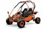 Preview: Nitro Motors 125cc Midi Buggy E-Start 7 Zoll Automatik + RG Kinderbuggy Gokart ohne Strassenzulassung Preview: Nitro Motors 125cc Midi Buggy E-Start 7 Zoll Automatik + RG Kinderbuggy Gokart ohne Strassenzulassung