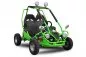 Preview: Mini Kinder Elektro Buggy 450 Watt und 750 Watt mit RG Preview: Mini Kinder Elektro Buggy 450 Watt und 750 Watt mit RG