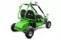 Preview: Mini Kinder Elektro Buggy 450 Watt und 750 Watt mit RG Preview: Mini Kinder Elektro Buggy 450 Watt und 750 Watt mit RG