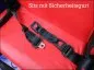 Preview: 50cc Mini Buggy Preview: 50cc Mini Buggy