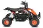 Preview: 800W Eco Repti Miniquad Elektroquad Atv Kinderquad 3 Stufen Drossel Preview: 800W Eco Repti Miniquad Elektroquad Atv Kinderquad 3 Stufen Drossel