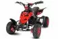 Preview: 800W Eco Repti Miniquad Elektroquad Atv Kinderquad 3 Stufen Drossel Preview: 800W Eco Repti Miniquad Elektroquad Atv Kinderquad 3 Stufen Drossel