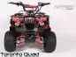 Preview: 125cc Toronto MIDI QUAD Automatik+RG+3xBremse Preview: 125cc Toronto MIDI QUAD Automatik+RG+3xBremse