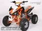 Preview: 110 cc Speedbird CXA 110 Midi Quad Preview: 110 cc Speedbird CXA 110 Midi Quad