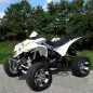 Preview: Shinery XY250ST-9C Preview: Shinery XY250ST-9C