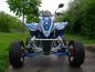 Preview: Shinery XY250ST-9C Preview: Shinery XY250ST-9C