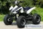Preview: Kinder Elektro Quad S-14 Speedy 1000 Watt Preview: Kinder Elektro Quad S-14 Speedy 1000 Watt