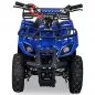 Preview: 49cc Toronto/Torino Mini Quad Preview: 49cc Toronto/Torino Mini Quad