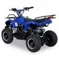 Preview: 49cc Toronto/Torino Mini Quad Preview: 49cc Toronto/Torino Mini Quad