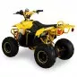Preview: 800W/1000W ECO RAZER/Polari QUAD 36V / 12A / 2-STUFEN DROSSEL Preview: 800W/1000W ECO RAZER/Polari QUAD 36V / 12A / 2-STUFEN DROSSEL