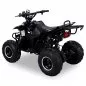 Preview: 800W/1000W ECO RAZER/Polari QUAD 36V / 12A / 2-STUFEN DROSSEL Preview: 800W/1000W ECO RAZER/Polari QUAD 36V / 12A / 2-STUFEN DROSSEL