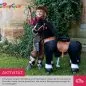 Preview: Ponycycle Black Beauty von MyPony mit Sound Preview: Ponycycle Black Beauty von MyPony mit Sound