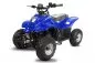 Preview: 800 W ECO QUAD BIGFOOD 800W Preview: 800 W ECO QUAD BIGFOOD 800W
