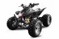 Preview: 125cc Grizzly Quad Offroad Automatik + RG Kinderquad Preview: 125cc Grizzly Quad Offroad Automatik + RG Kinderquad