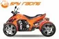 Preview: 250cc SPY Racing EFi Euro 4 Quad 2 Pers. Autobahn Zulassung 4-Gang + RG mit Kardan und Differenzial Preview: 250cc SPY Racing EFi Euro 4 Quad 2 Pers. Autobahn Zulassung 4-Gang + RG mit Kardan und Differenzial
