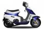 Preview: 49cc Pocket Roller Minibike Racing Pocketbike Preview: 49cc Pocket Roller Minibike Racing Pocketbike