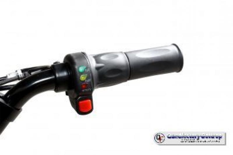 E-Scooter eFlux Freeride PRO 1600 Watt 48 V mit LED Licht, Freilauf, 13x5-6 Reifen E-Scooter eFlux Freeride PRO 1600 Watt 48 V mit LED Licht, Freilauf, 13x5-6 Reifen