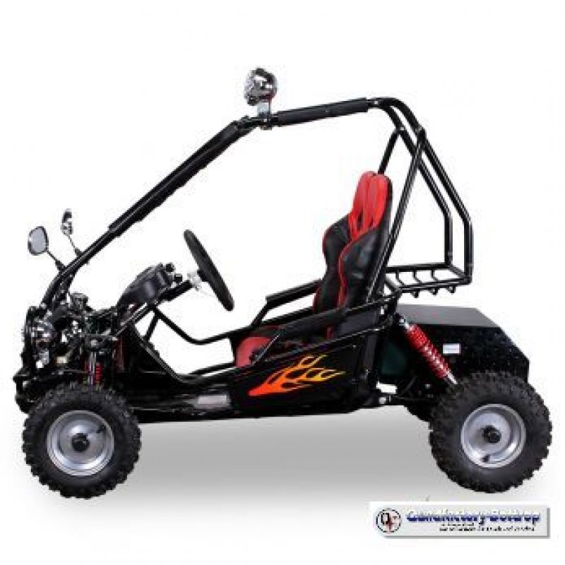 Mini Kinder Elektro Buggy 450 Watt und 750 Watt mit RG Mini Kinder Elektro Buggy 450 Watt und 750 Watt mit RG