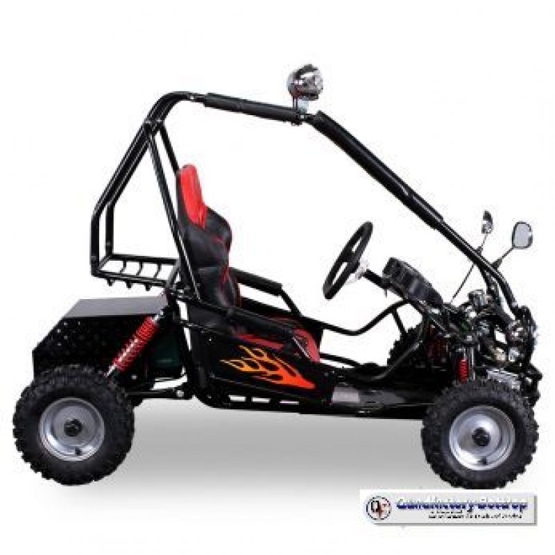 Mini Kinder Elektro Buggy 450 Watt und 750 Watt mit RG Mini Kinder Elektro Buggy 450 Watt und 750 Watt mit RG
