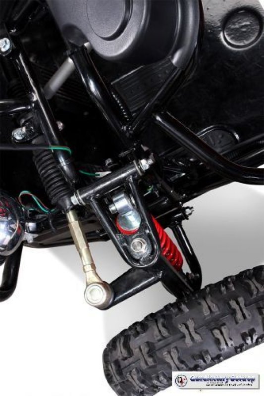 Mini Kinder Elektro Buggy 450 Watt und 750 Watt mit RG Mini Kinder Elektro Buggy 450 Watt und 750 Watt mit RG