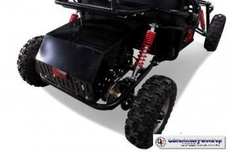 Mini Kinder Elektro Buggy 450 Watt und 750 Watt mit RG Mini Kinder Elektro Buggy 450 Watt und 750 Watt mit RG