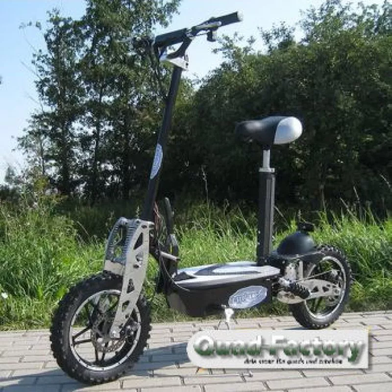 Elektro Roller / Scooter Vision 1000/800 Watt Elektro Roller / Scooter Vision 1000/800 Watt