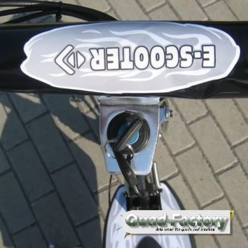 Elektro Roller / Scooter Vision 1000/800 Watt Elektro Roller / Scooter Vision 1000/800 Watt