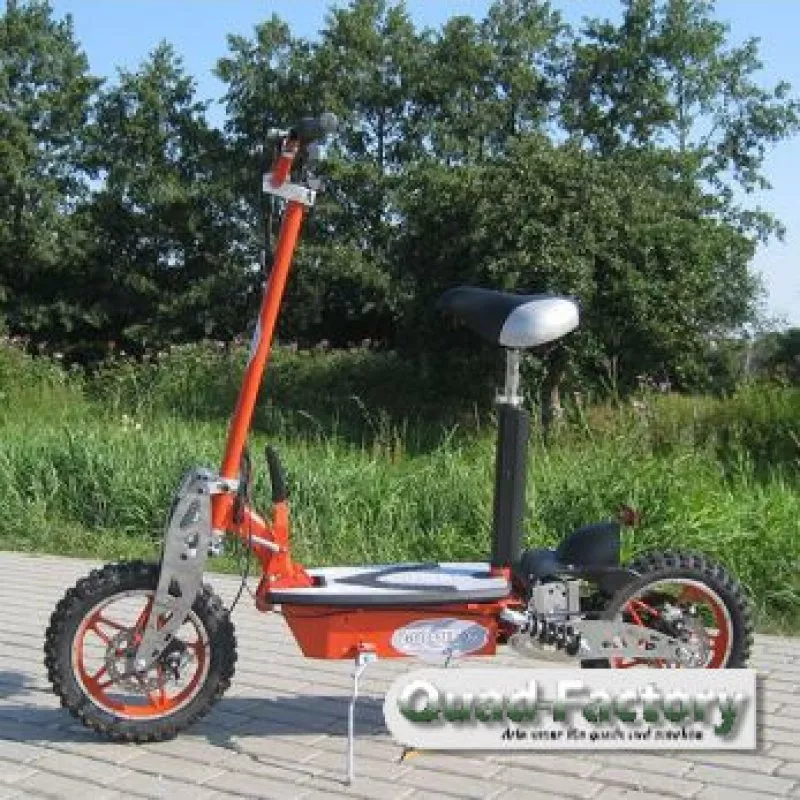 Elektro Roller / Scooter Vision 1000/800 Watt Elektro Roller / Scooter Vision 1000/800 Watt