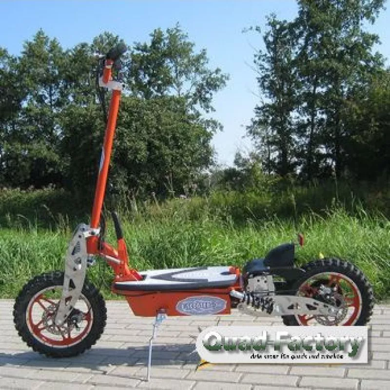 Elektro Roller / Scooter Vision 1000/800 Watt Elektro Roller / Scooter Vision 1000/800 Watt