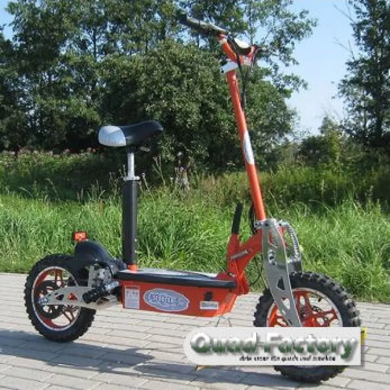Elektro Roller / Scooter Vision 1000/800 Watt Elektro Roller / Scooter Vision 1000/800 Watt