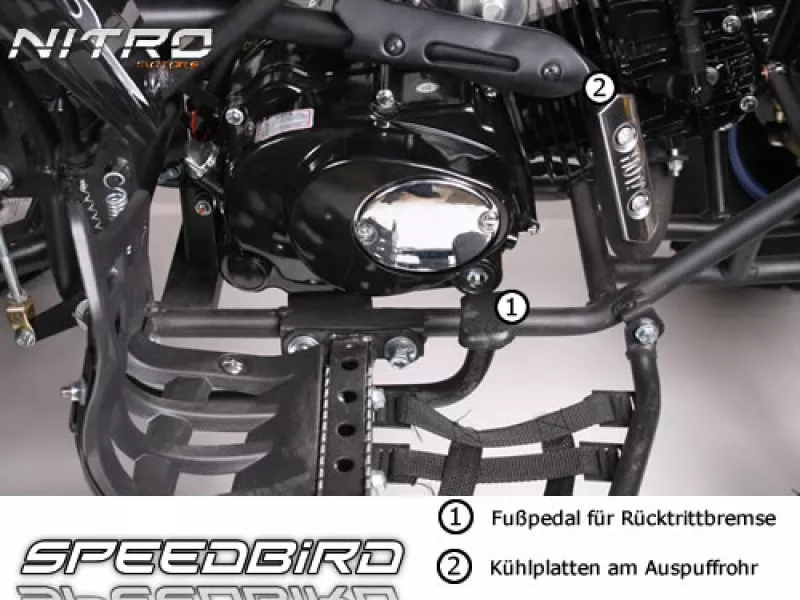 125cc Speedbird GXM 125 midi Quad 125cc Speedbird GXM 125 midi Quad