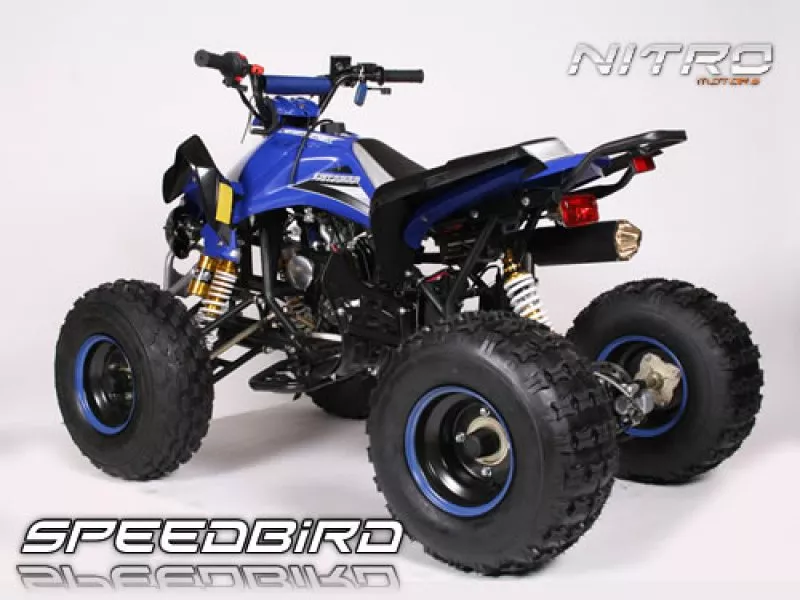 125cc Speedbird GXM 125 midi Quad 125cc Speedbird GXM 125 midi Quad