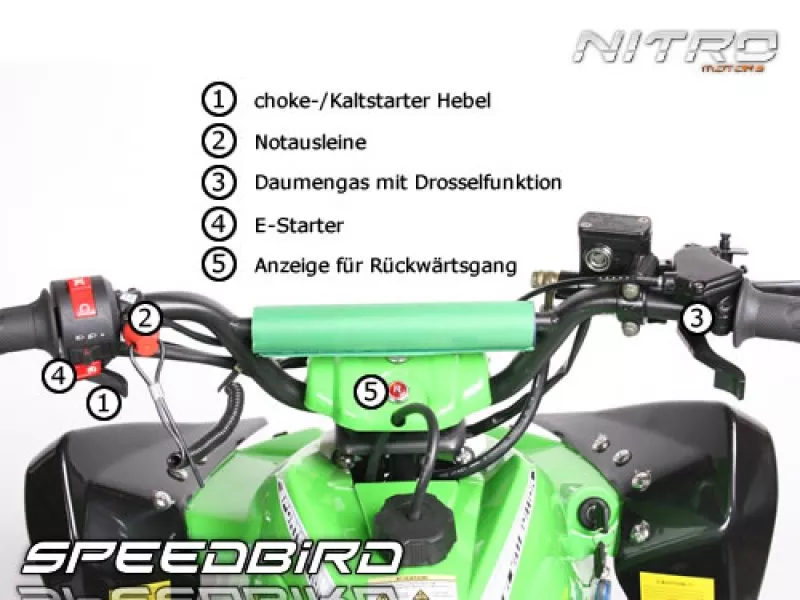 110 cc Speedbird CXR 110 Midi Quad 110 cc Speedbird CXR 110 Midi Quad