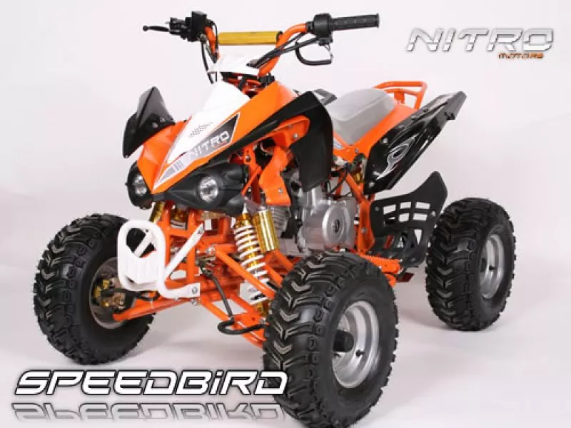 110 cc Speedbird CXR 110 Midi Quad 110 cc Speedbird CXR 110 Midi Quad