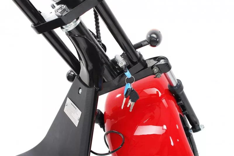 eFlux Harley Two Elektro Scooter 1500 Watt 60 Volt 20AH mit Straßenzulassung eFlux Harley Two Elektro Scooter 1500 Watt 60 Volt 20AH mit Straßenzulassung