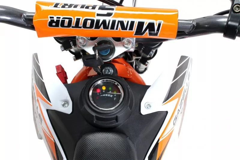 Kinder Mini Elektro Crossbike Gazelle 500 Watt verstärkte Gabel Kinder Mini Elektro Crossbike Gazelle 500 Watt verstärkte Gabel