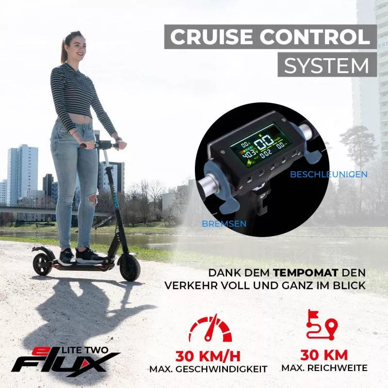 eFlux Lite Two 8 Zoll 500 Watt Motor eFlux Lite Two 8 Zoll 500 Watt Motor