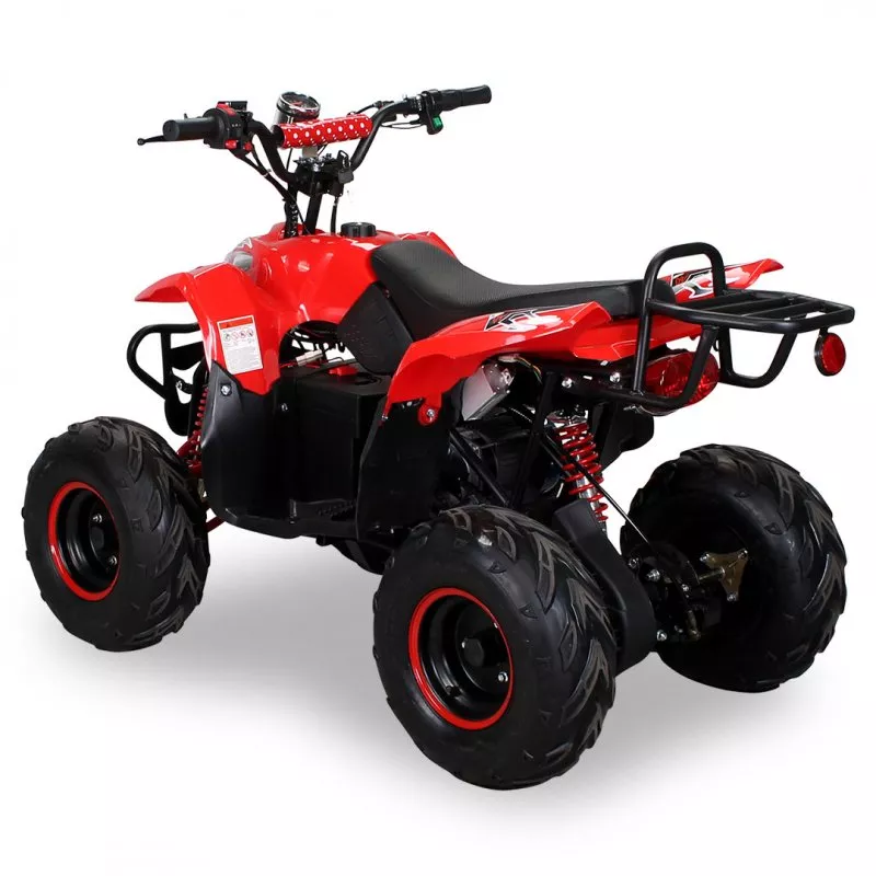 800W/1000W ECO RAZER/Polari QUAD 36V / 12A / 2-STUFEN DROSSEL 800W/1000W ECO RAZER/Polari QUAD 36V / 12A / 2-STUFEN DROSSEL